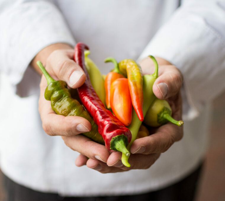 Peppers in a hand